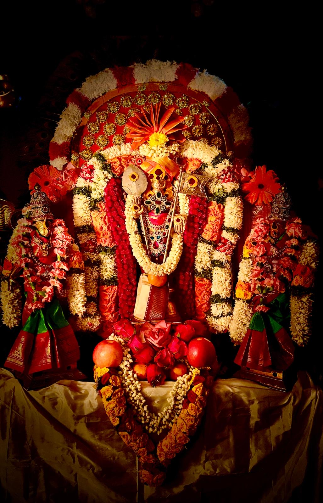 Panguni Uthiram Celebrations 2026